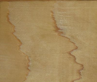 ���� �������