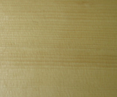 ���� ���������