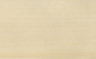 �������� �����