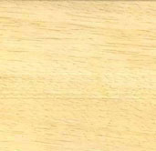 ������� ����