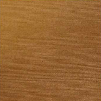 ���� ������� �������